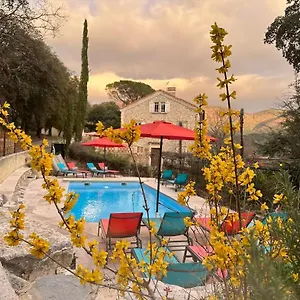  Bed & Breakfast La Viste - Spa-jacuzzi - Massage- Sauna - 4 Saisons - Piscine Chauffee Toute L'annee - Heated Pool - 800m Centre